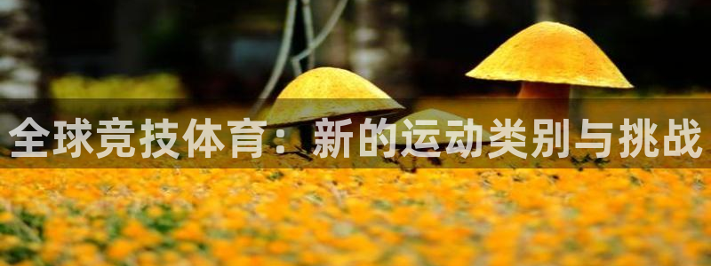 J9官网下载招商电话是多少:全球竞技体育:新的运动类别与挑战